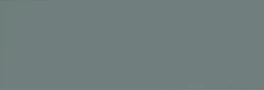 ELG 35X102 LISCIA PINE MATT