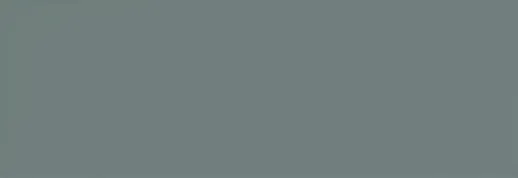 ELG 35X102 LISCIA PINE MATT