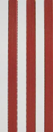 GLOSSY STRIP ROSSO 20x50 FA/RE WALL