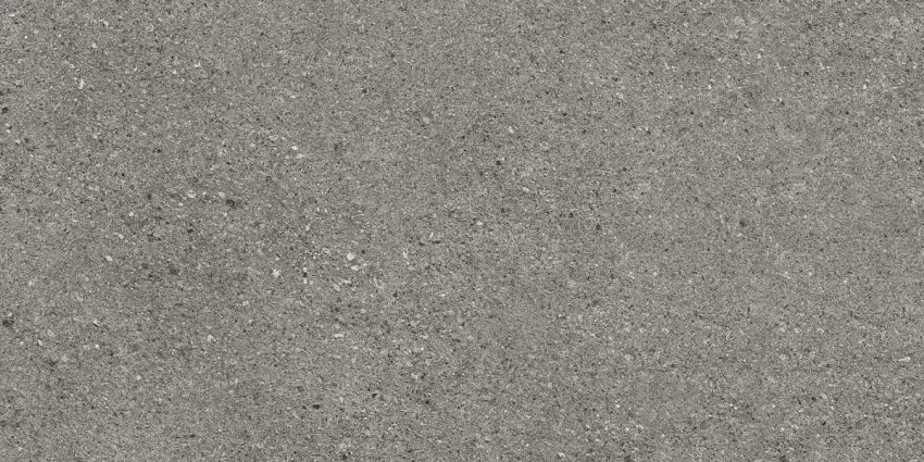 IRIS 694 120X60 Silver Grey Nat Plus 8M Natural Plus/Natural Plus Płytka 120X60