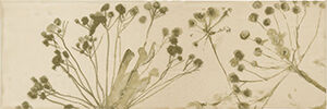 Iris Aura Moss Decoro Glossy 10X30 Glossy