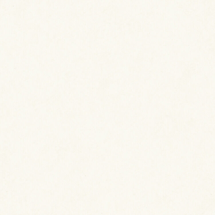 Fmg Marmi Maxfine Thassos Prelucidato Sq. 75X75 prelucidato