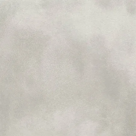 FMG Roads Pearl Mind Natural Plus/Natural Plus Płytka 60X60