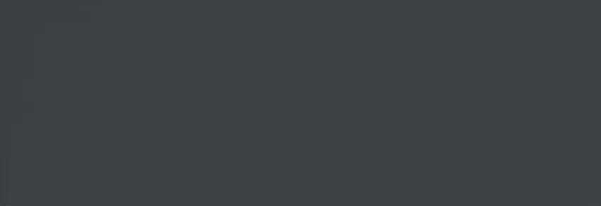 ELG 35X102 LISCIA FLINT MATT