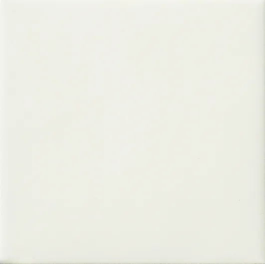 20X20 BIANCO MATT.