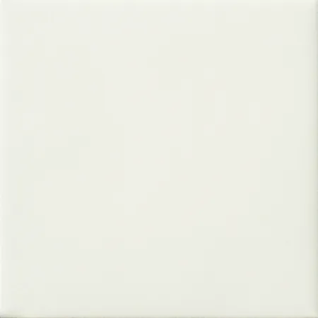 20X20 BIANCO MATT.