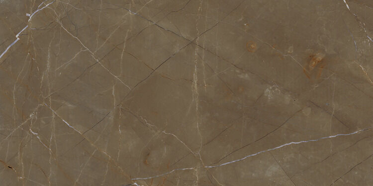 Fmg Marmi Maxfine Gaudi Stone Extra Silky Sq. 75X37,5 silky