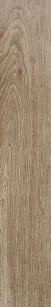 SELECTION AMBER OAK 20X120 737662