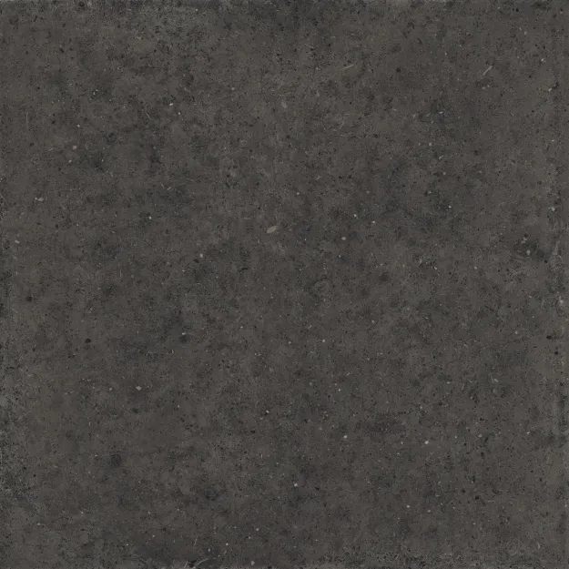 IRIS 634 120X120 Whole Stone Black Natural Plus/Natural Plus Płytka 120X120