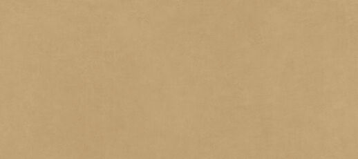 IRIS 665 270X120 Balance Ochre 6Mm Natural Plus/Natural Plus Płytka 270X120
