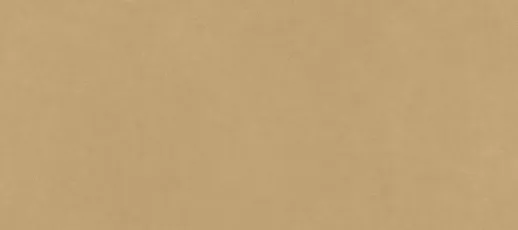 IRIS 665 270X120 Balance Ochre 6Mm Natural Plus/Natural Plus Płytka 270X120