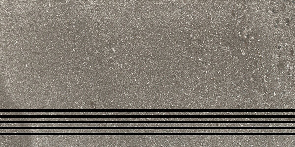 Pietra Di Basalto Active Basalto Moro Gradino Elle Jolly Active 60X30 Active
