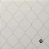 Iris Diesel Fence White Decoro Moneta 20X20 (Glossy)