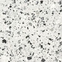 FMG Venice Villa Venice Silver Levigato Levigato Polished/Levigato Polished Płytka 20X20