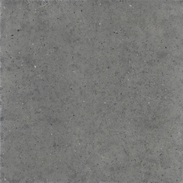 IRIS 634 120X120 Whole Stone Grey Natural Plus/Natural Plus Płytka 120X120