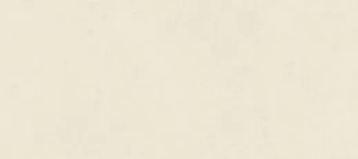 IRIS 665 270X120 Balance Ivory 6Mm Natural Plus/Natural Plus Płytka 270X120