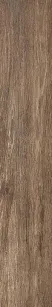 SELECTION BROWN OAK 20X120 737663