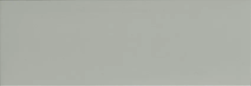 ELG 35X102 LISCIA CINDER MATT