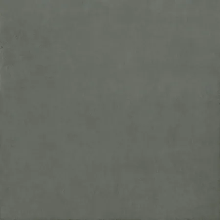 IRIS 665 60X60 Balanc Chester Green Natural Plus/Natural Plus Płytka 60X60