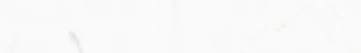 FMG Select White Calacatta Battiscopa Natural/Natural Płytka 60X9