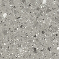 FMG Venice Villa Venice Grey Levigato Levigato Polished/Levigato Polished Płytka 20X20