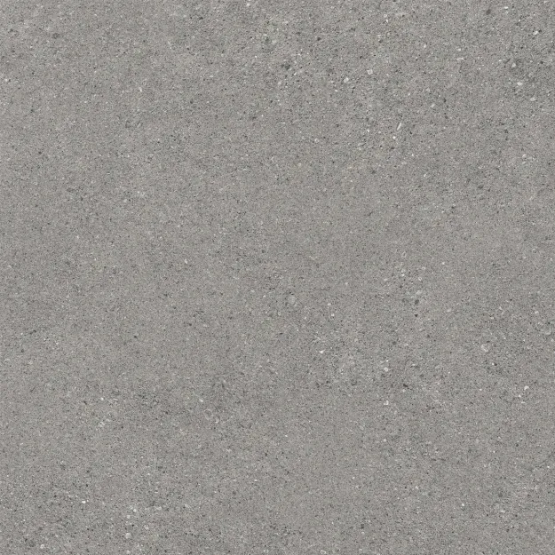 IRIS 694 120X120 Silver Grey Nat Plus 8Mm Natural Plus/Natural Plus Płytka 120X120