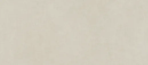 IRIS 665 270X120 Balance Light Grey 6Mm Natural Plus/Natural Plus Płytka 270X120