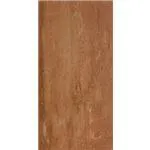 TERRA CARAMEL 40X80 RET.