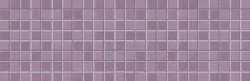 CITY COLOR VIOLET 20X60 MOS-RE 2,5X2,5