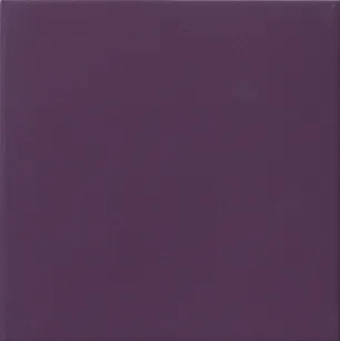 TINTE AUBERGINE 33,3X33,3