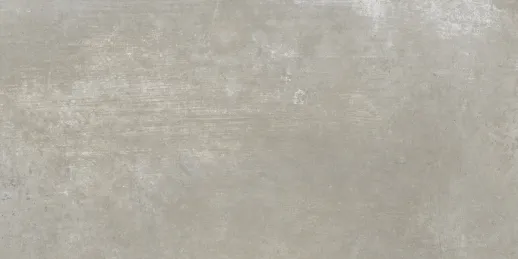 FMG Walk On Silver Natural Plus/Natural Plus Płytka 120X60